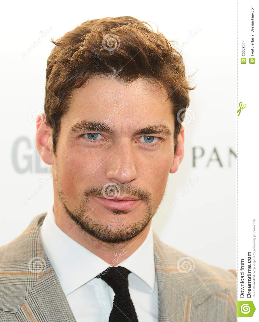 Gandy 1