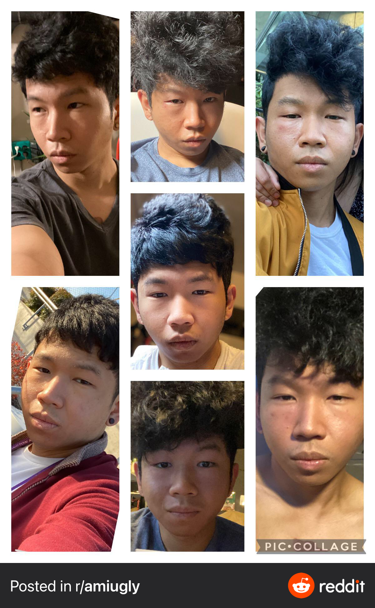 1629333487466