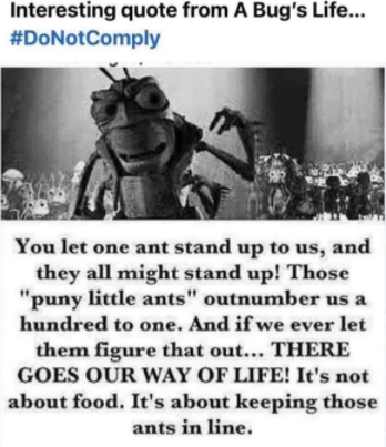 1629373506488