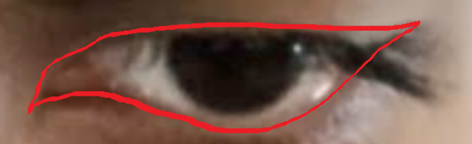1629478012753