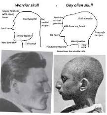 Dolichocephalic Races I learned that im dolichocephalic | Looksmax.org - Men's Self ...