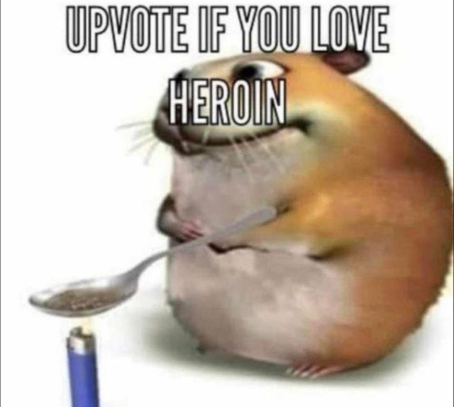 1629672002280