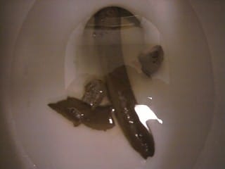 6221306608 d4a4b466c4 n