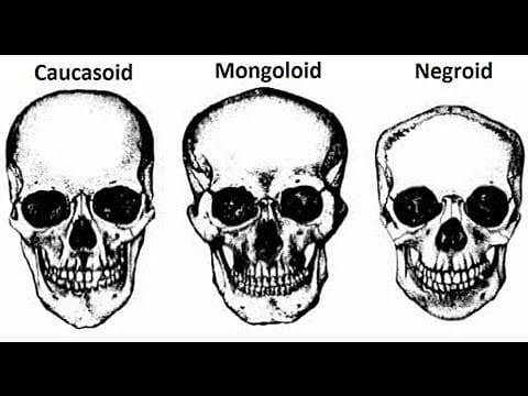 Baca54ce5200f61660d2ee462910b195