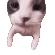 Jazz Kissa