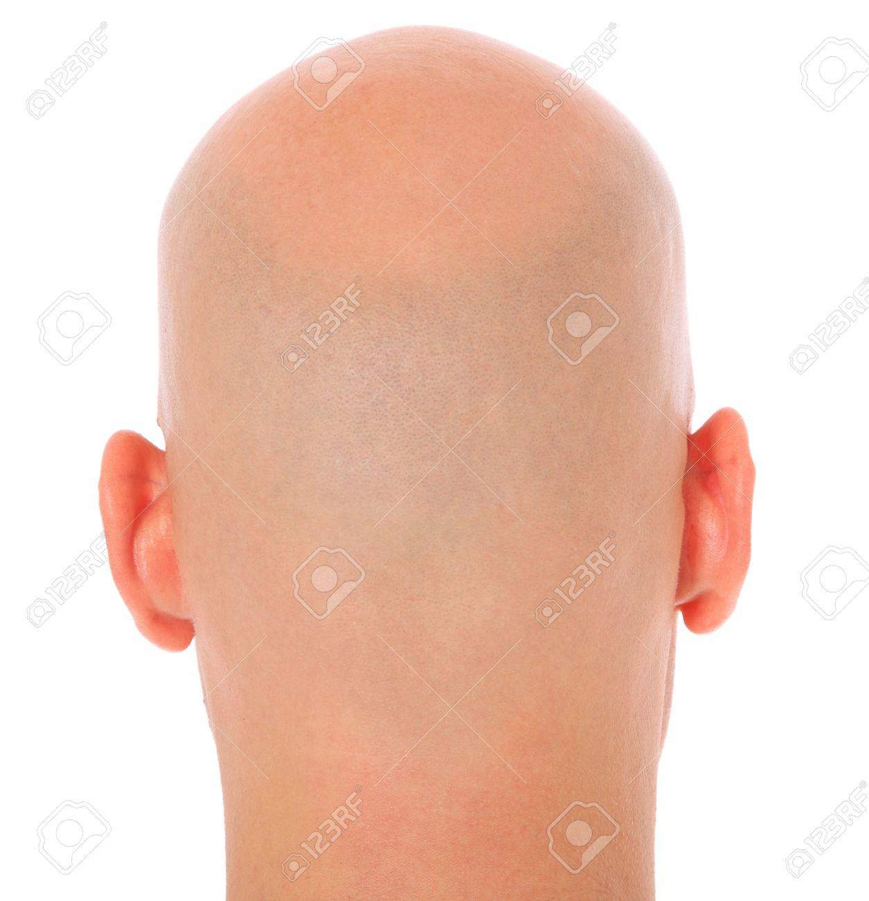 11544865 back of the head of a bald man all on white background 