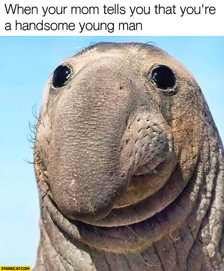 1629801604709