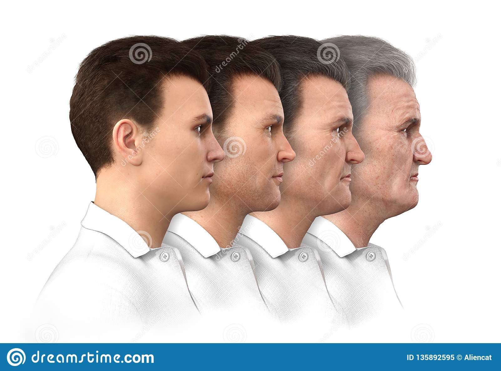 Male age progression to chart depicting profile man aging d render 135892595