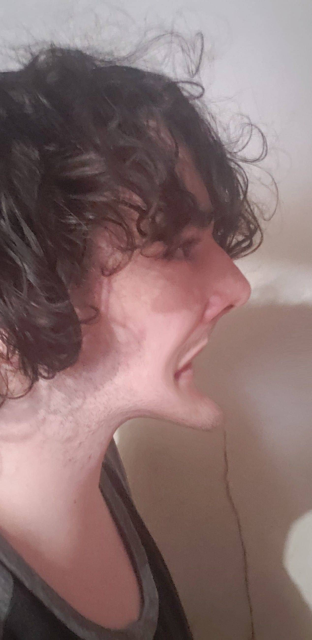 Photobender 1
