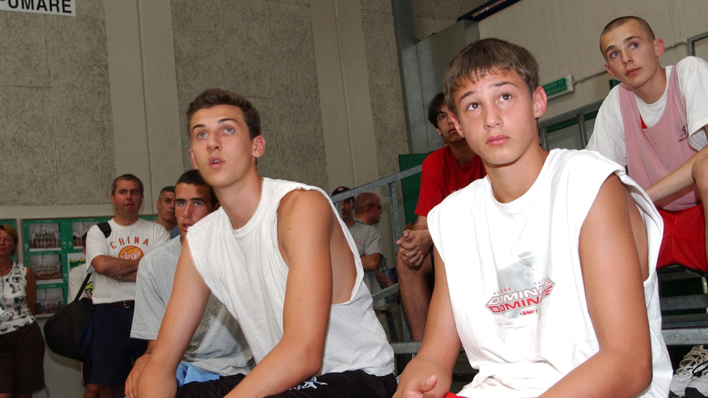 3 Gallo Bargs