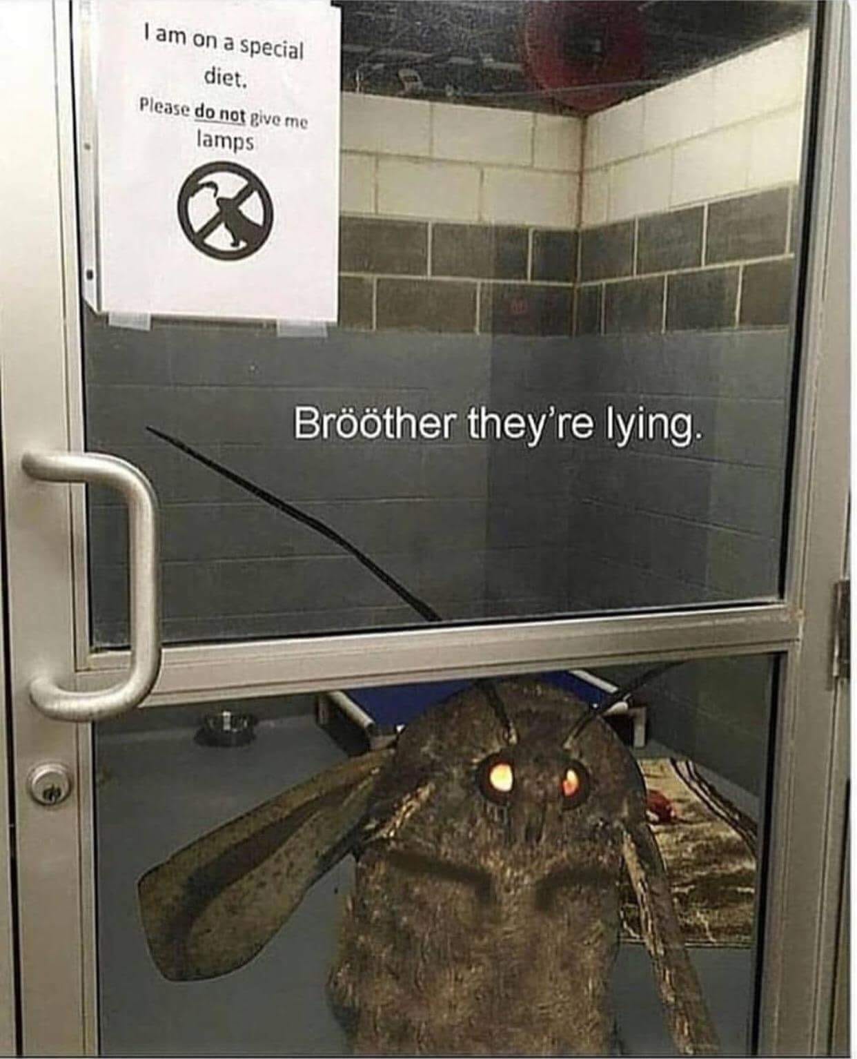 85774468