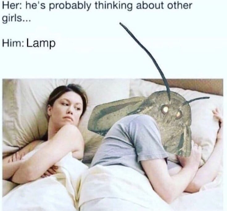 85774467