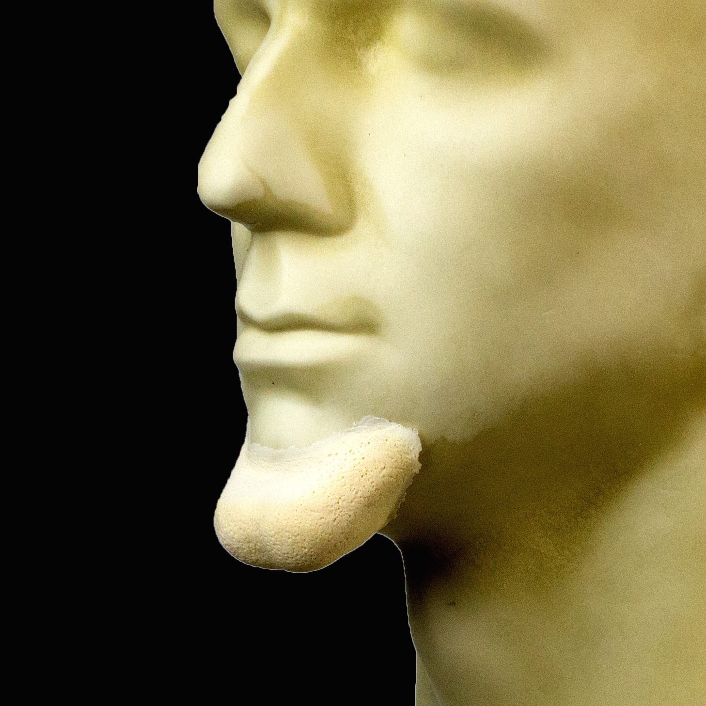 RW Large Witch Chin FRW 015 3 4 2