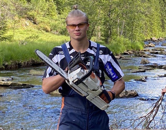 Haaland tronconneuse