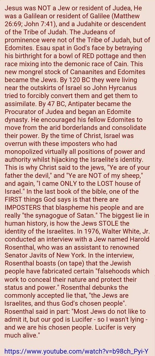 Jesus is not a jew