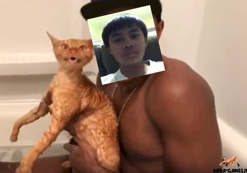 Guy cat thing a guy fucking a cat catrap bath ll 919695