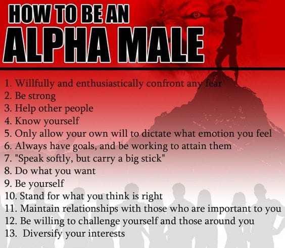 How to be an alpha male0