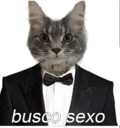 453A3890 559C 44EC B8C9 0B3ECCF50ADA