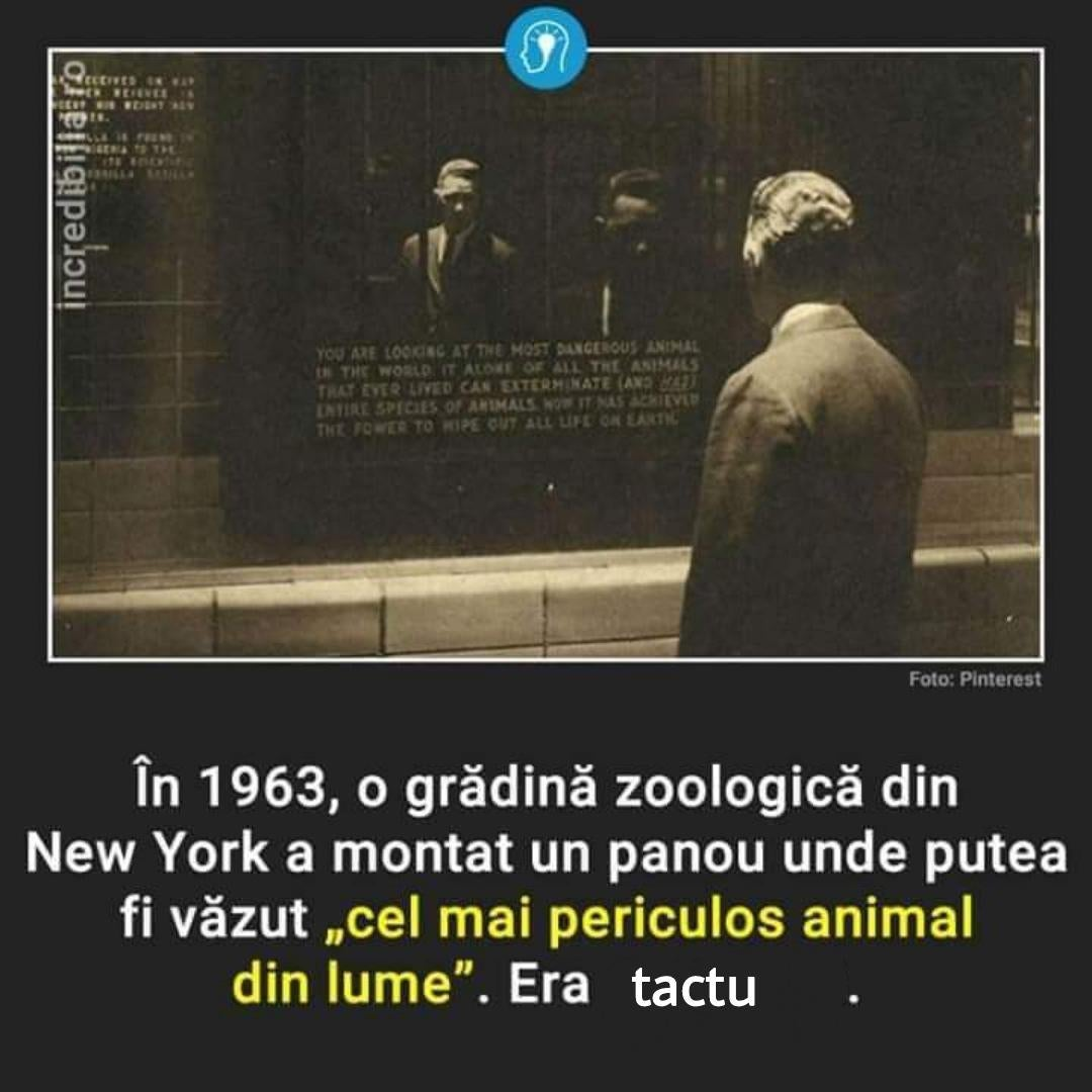 RDT 20210906 1942171358937629330596146