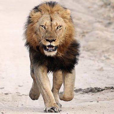 8989EE0A 1AF8 4BA2 A3D6 F6E0C35D6E4A