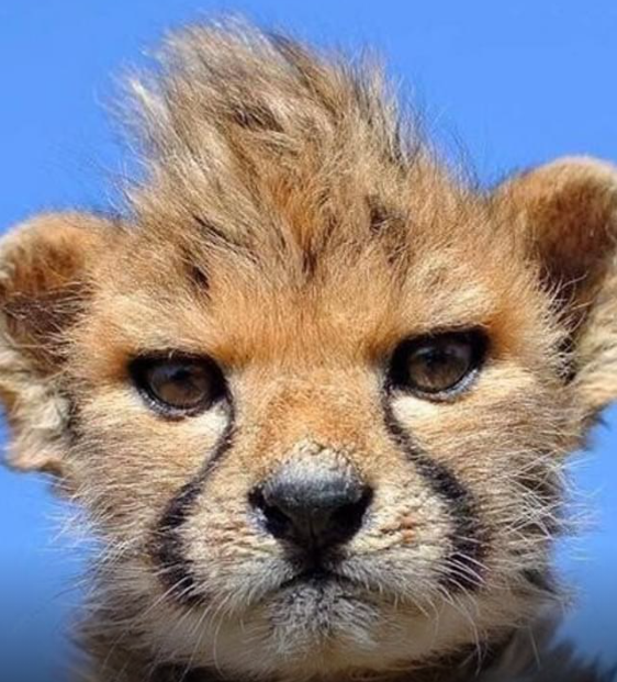 0eac803e17b802cc59005e72d4f5ae61