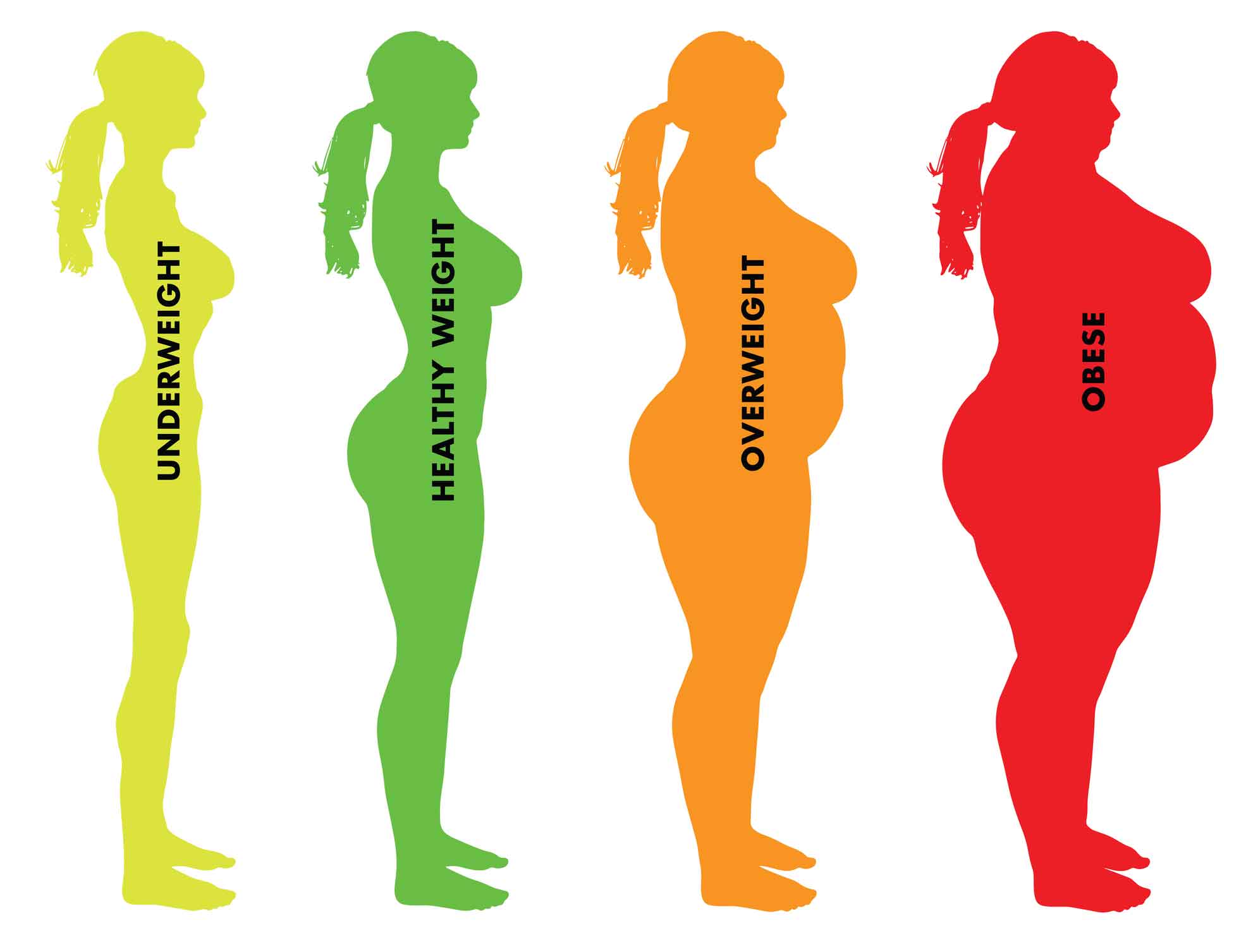 Body mass index in Hindi