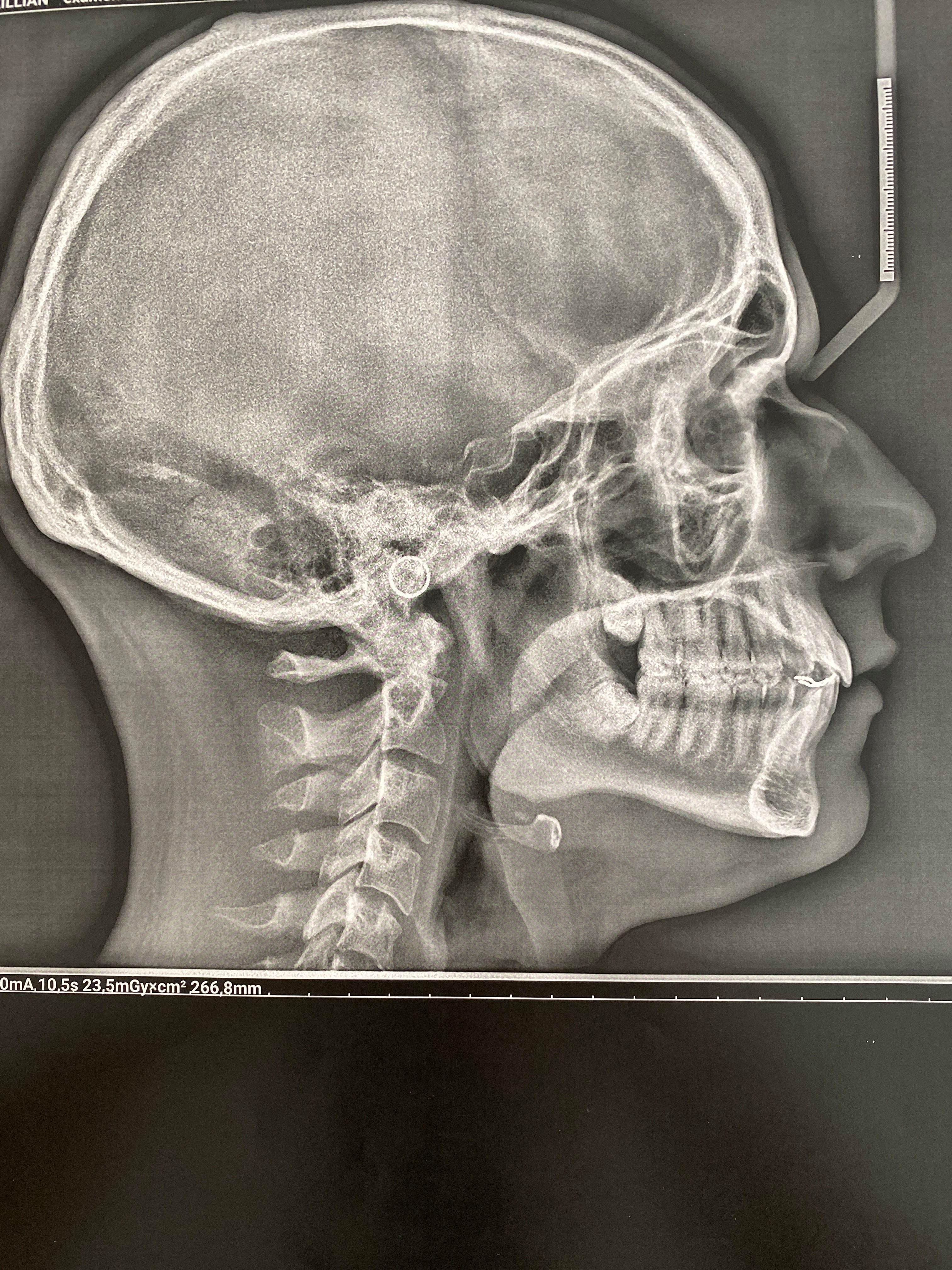 241334557 237983051582174 4949205501257661832 n