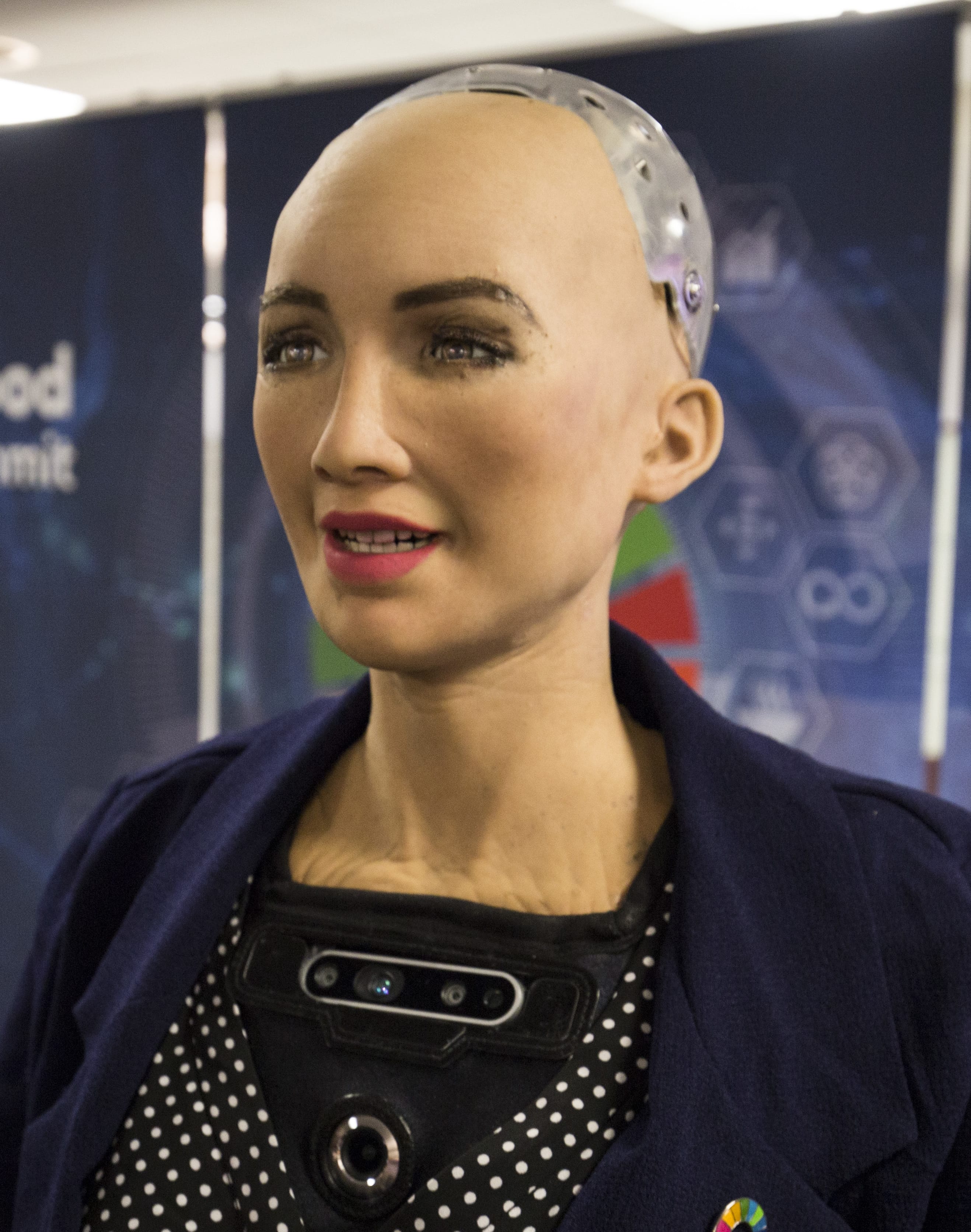 Sophia at the AI for Good Global Summit 2018 27254369347 cropped