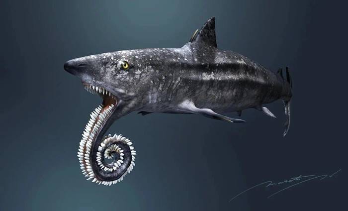 Shark with a circular saw on the lower jaw 001