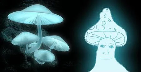 1631308187647
