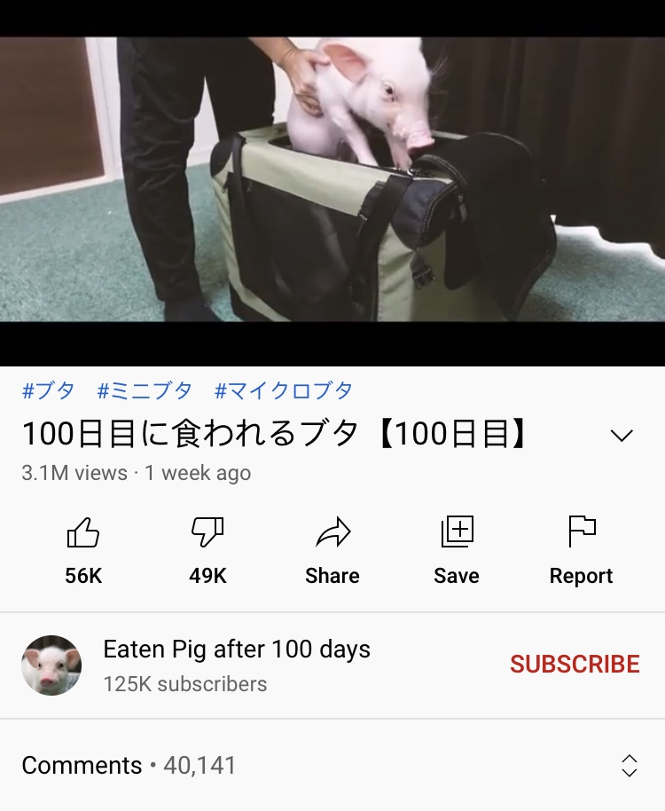 1631309496233
