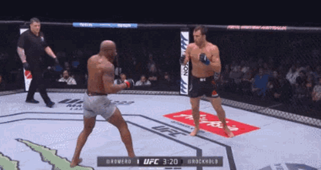 Luke rockhold ufc