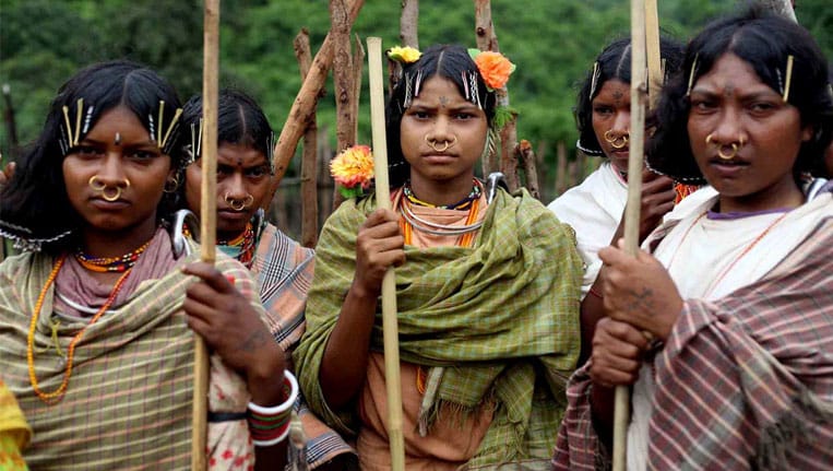 Tribe1