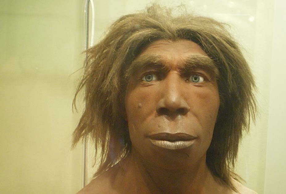 Neanderthal DNA 0