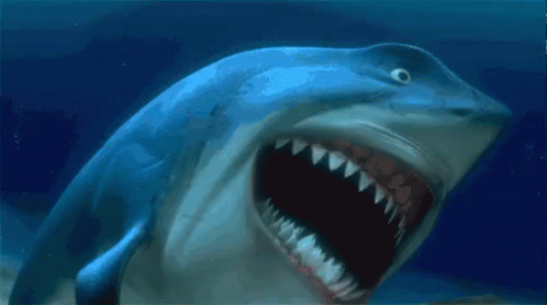 Finding nemo shark