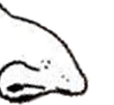 1631818101188