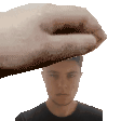 Tony pet
