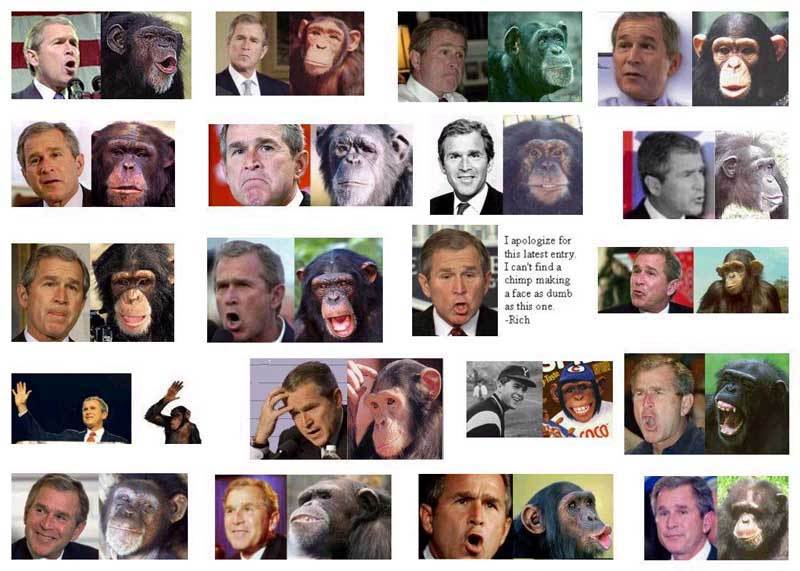 George Bush Monkey Comparisons