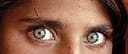 Sharbat Gula  01
