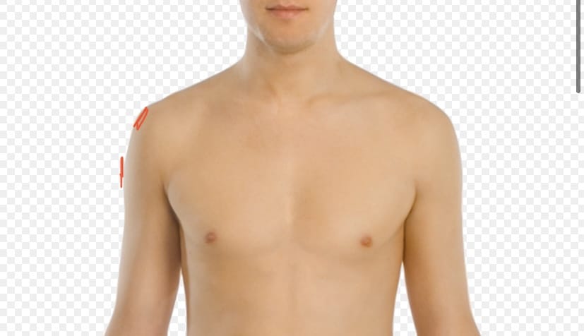 C95D7CBD BDE9 4B99 9012 19A865CD237A