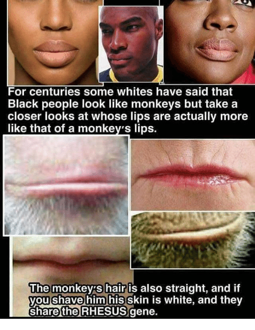 78E4468C 73F3 45CF 8457 C083DDDEB556