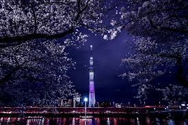 Tokyo1
