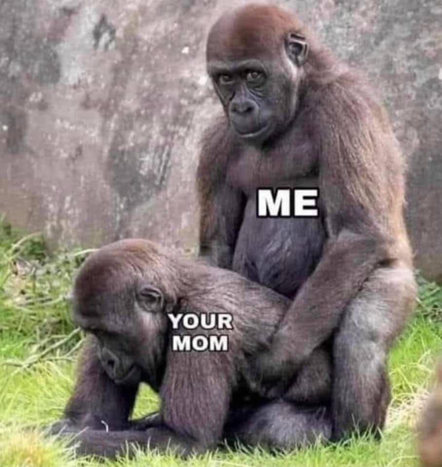 756063DA 5733 46BA A3D3 016004E597BA