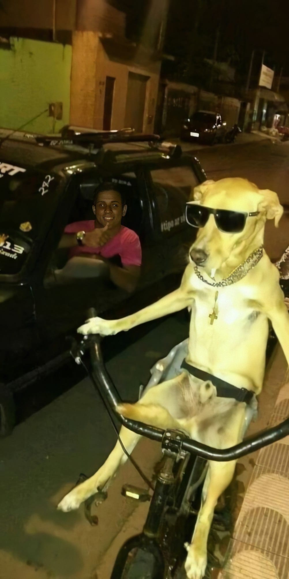 D2D0B5C7 6450 41F3 9766 CDD2D1AC157D