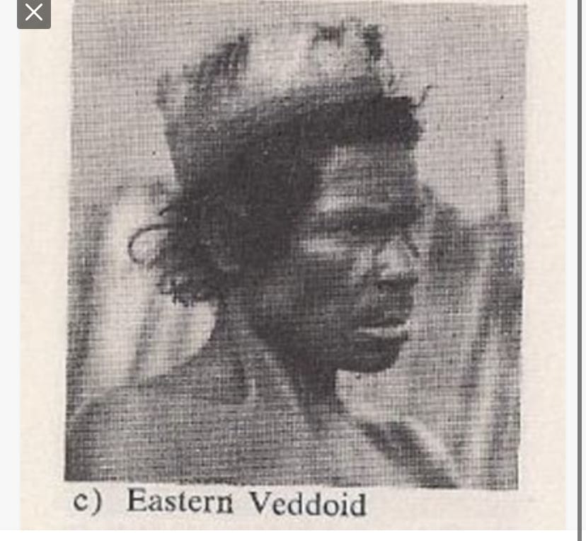 0873CE36 AEC0 4FAE 8920 1928CA38E9B1