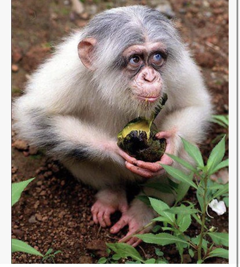 9A2D2E54 B735 4F0A 9F90 E7CC84CF89A3