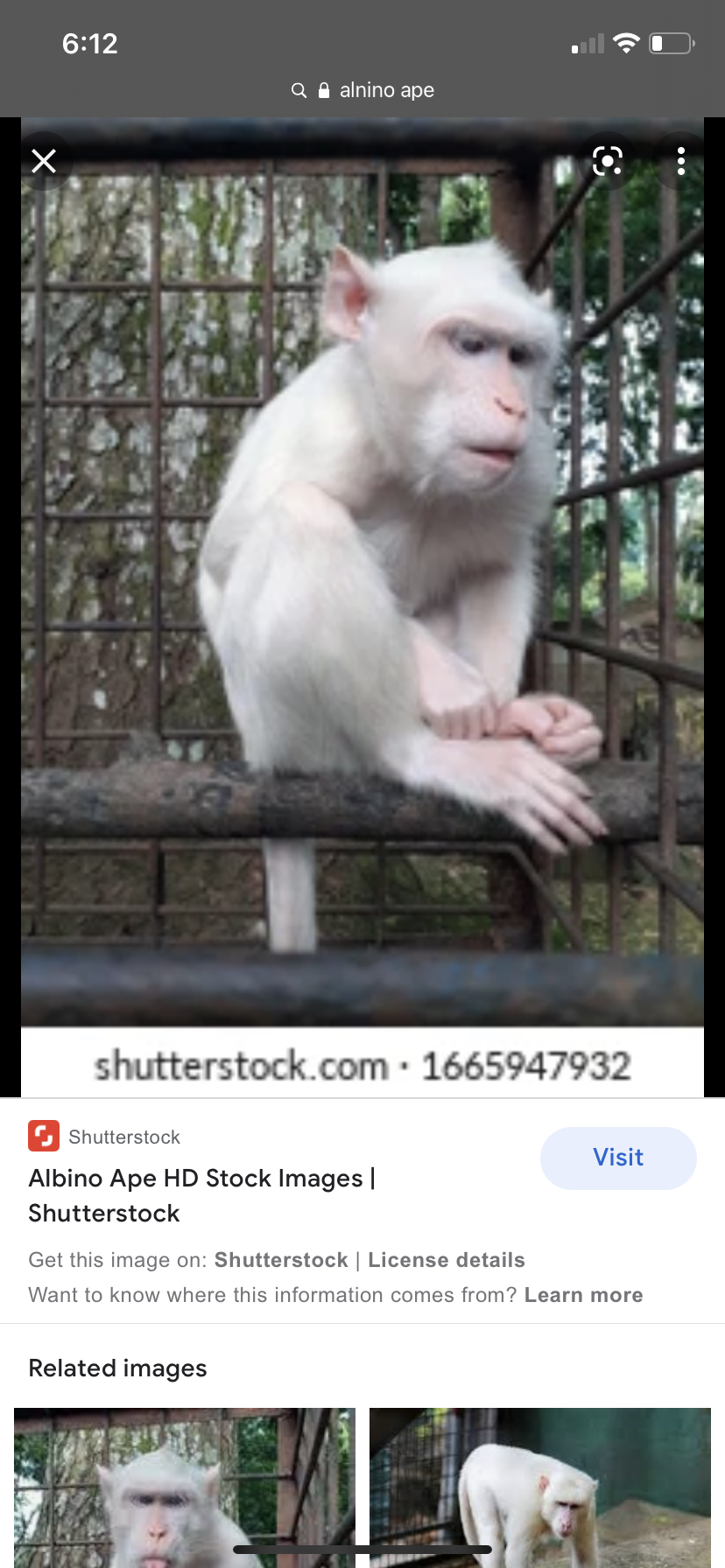 C26041A9 E996 495E 845B 92B79A64F477