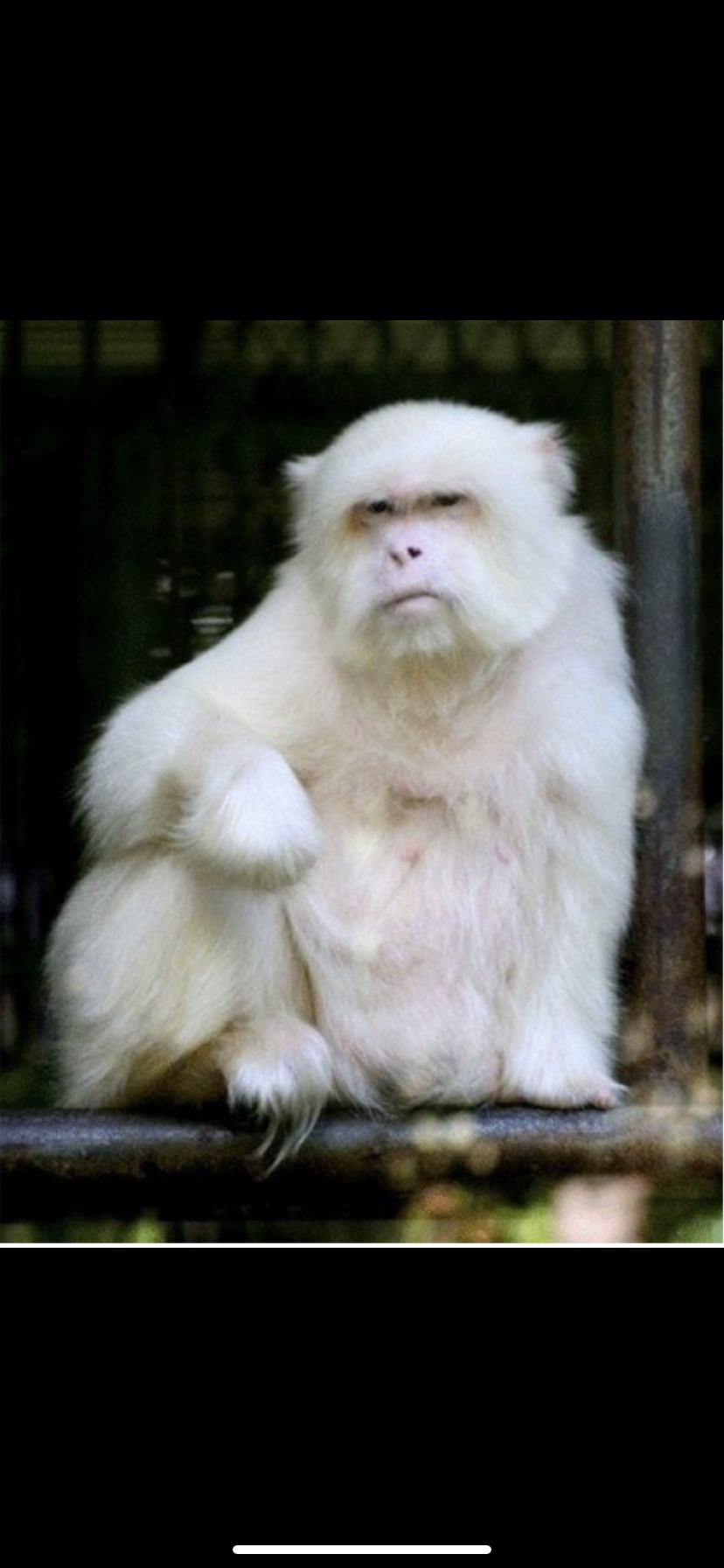 A1FCF533 A0E2 4740 9E50 8AFE1F8254E7