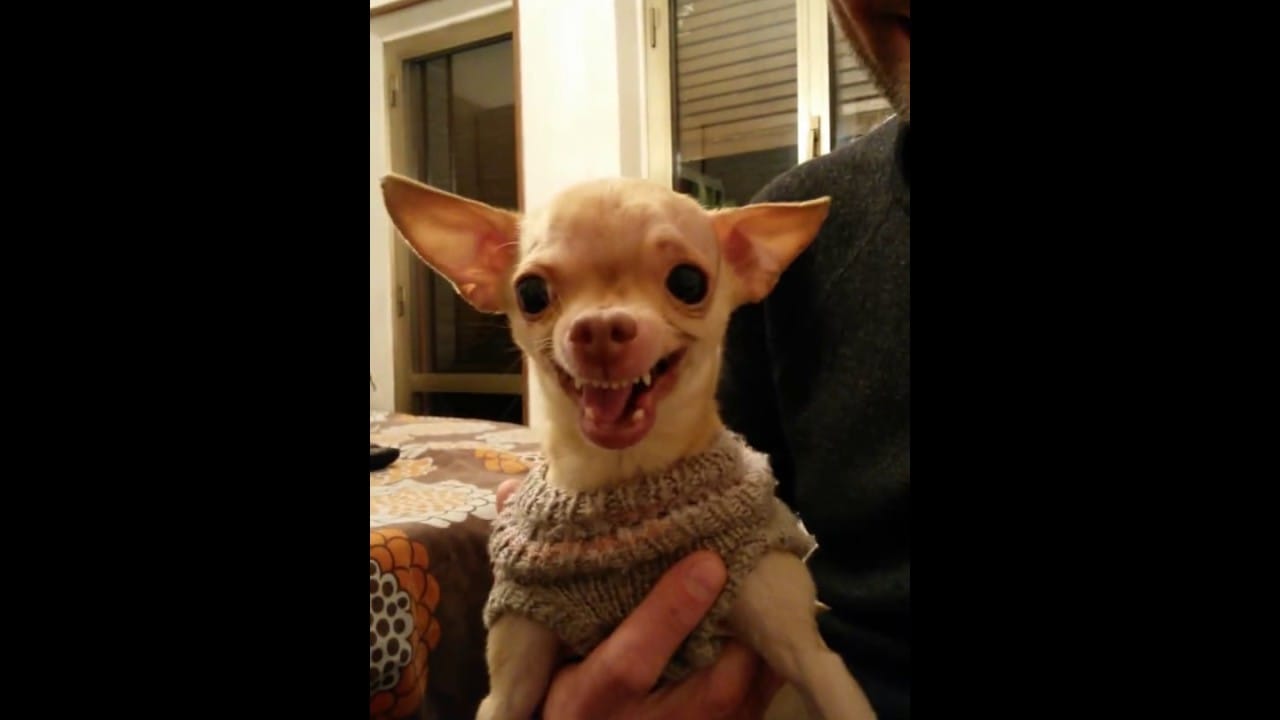 Maxresdefault