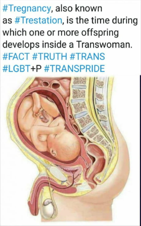 1633118965538